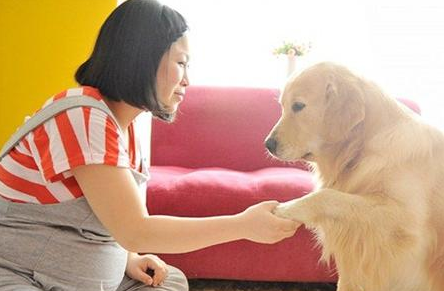 孕妇需警惕生活的危险“雷区”